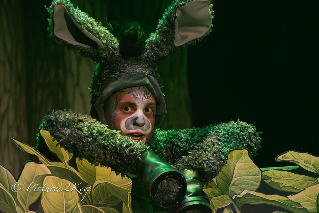 2410_ShrekWoensdag_088-Verbeterd-NR.jpg