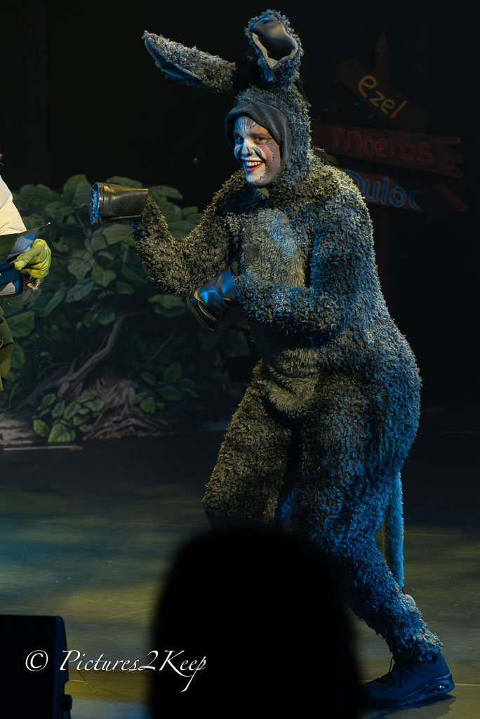 2410_ShrekWoensdag_110-Verbeterd-NR.jpg
