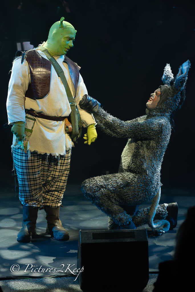 2410_ShrekWoensdag_113-Verbeterd-NR.jpg