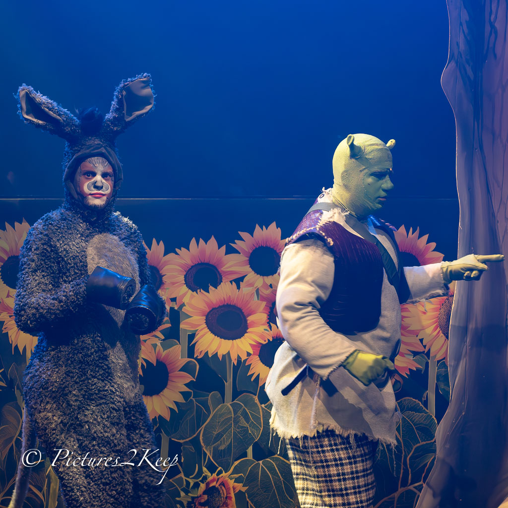 2410_ShrekWoensdag_229-Verbeterd-NR.jpg