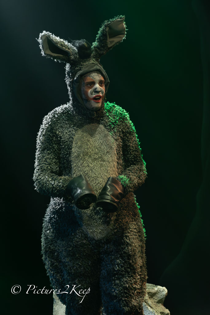 2410_ShrekWoensdag_354-Verbeterd-NR.jpg