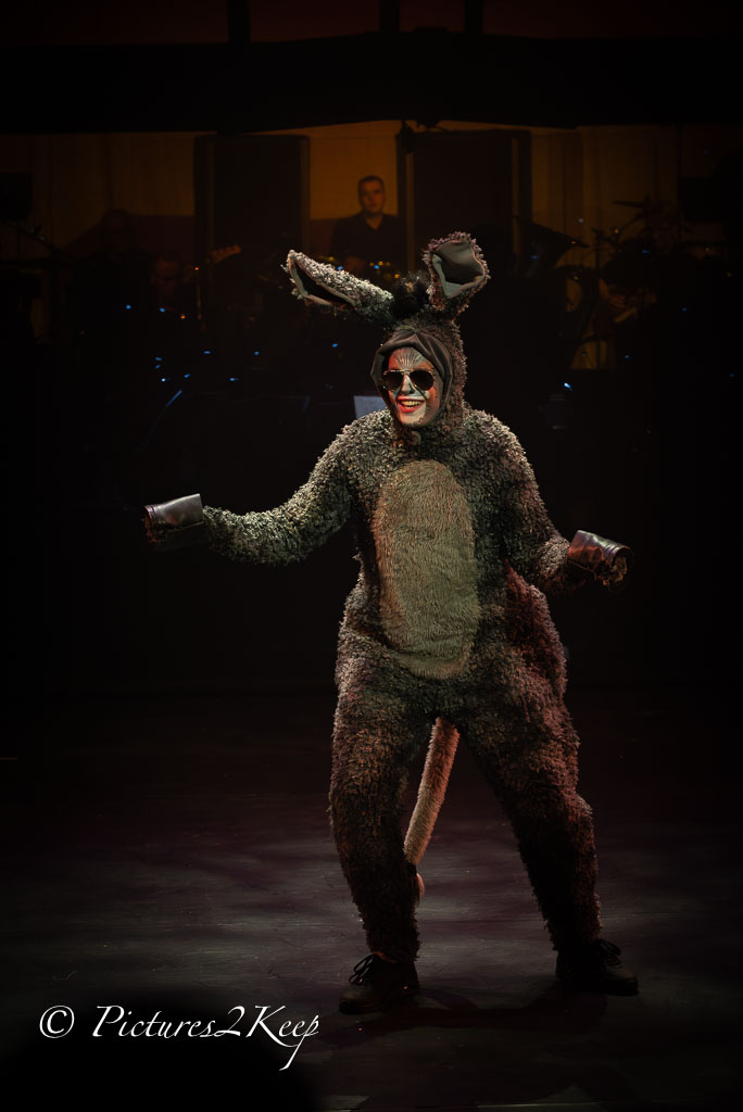 2410_ShrekWoensdag_480-Verbeterd-NR.jpg