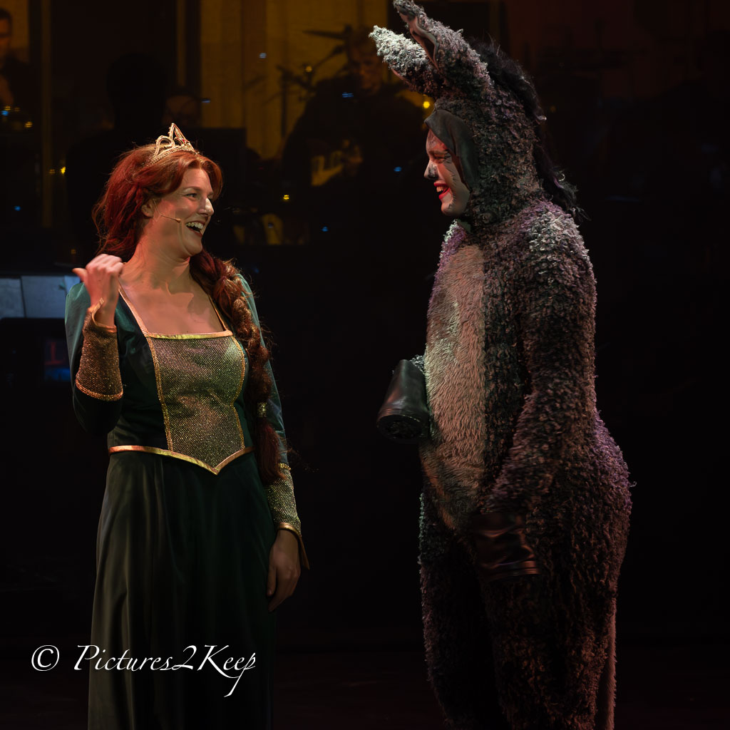 2410_ShrekWoensdag_487-Verbeterd-NR.jpg