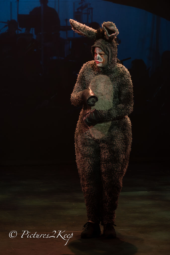 2410_ShrekWoensdag_531-Verbeterd-NR.jpg