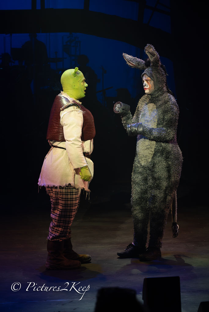 2410_ShrekWoensdag_536-Verbeterd-NR.jpg