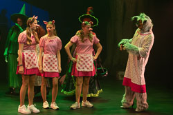 2024 Shrek The Musical