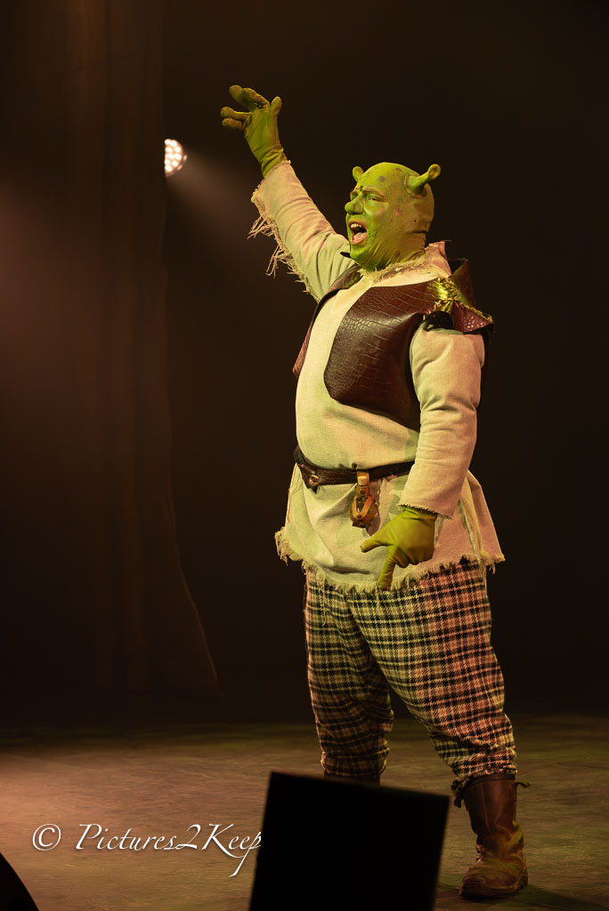 2410_ShrekDonderdag_045-Verbeterd-NR.jpg