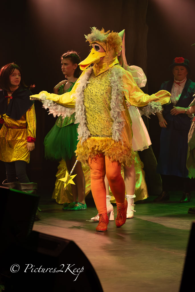 2410_ShrekDonderdag_060-Verbeterd-NR.jpg