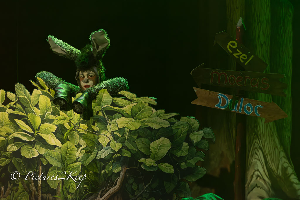 2410_ShrekDonderdag_101-Verbeterd-NR.jpg