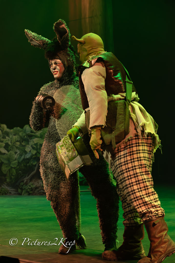 2410_ShrekDonderdag_115-Verbeterd-NR.jpg