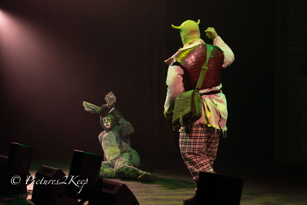 2410_ShrekDonderdag_156-Verbeterd-NR.jpg