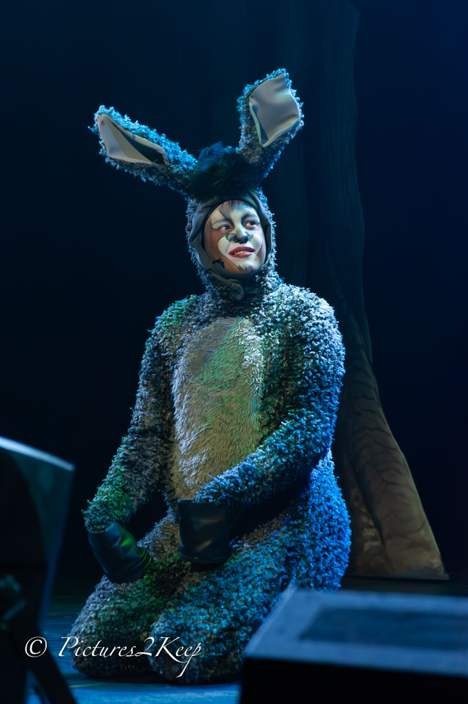 2410_ShrekDonderdag_323-Verbeterd-NR.jpg