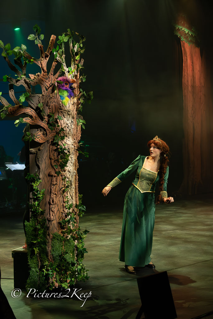 2410_ShrekDonderdag_334-Verbeterd-NR.jpg
