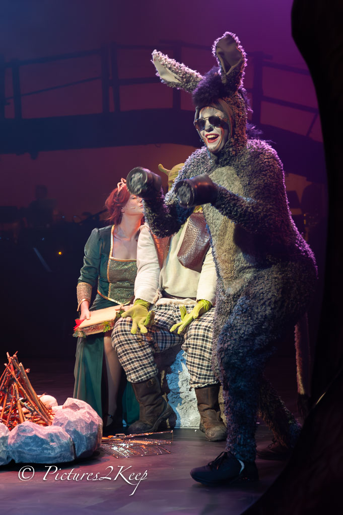 2410_ShrekDonderdag_467-Verbeterd-NR.jpg