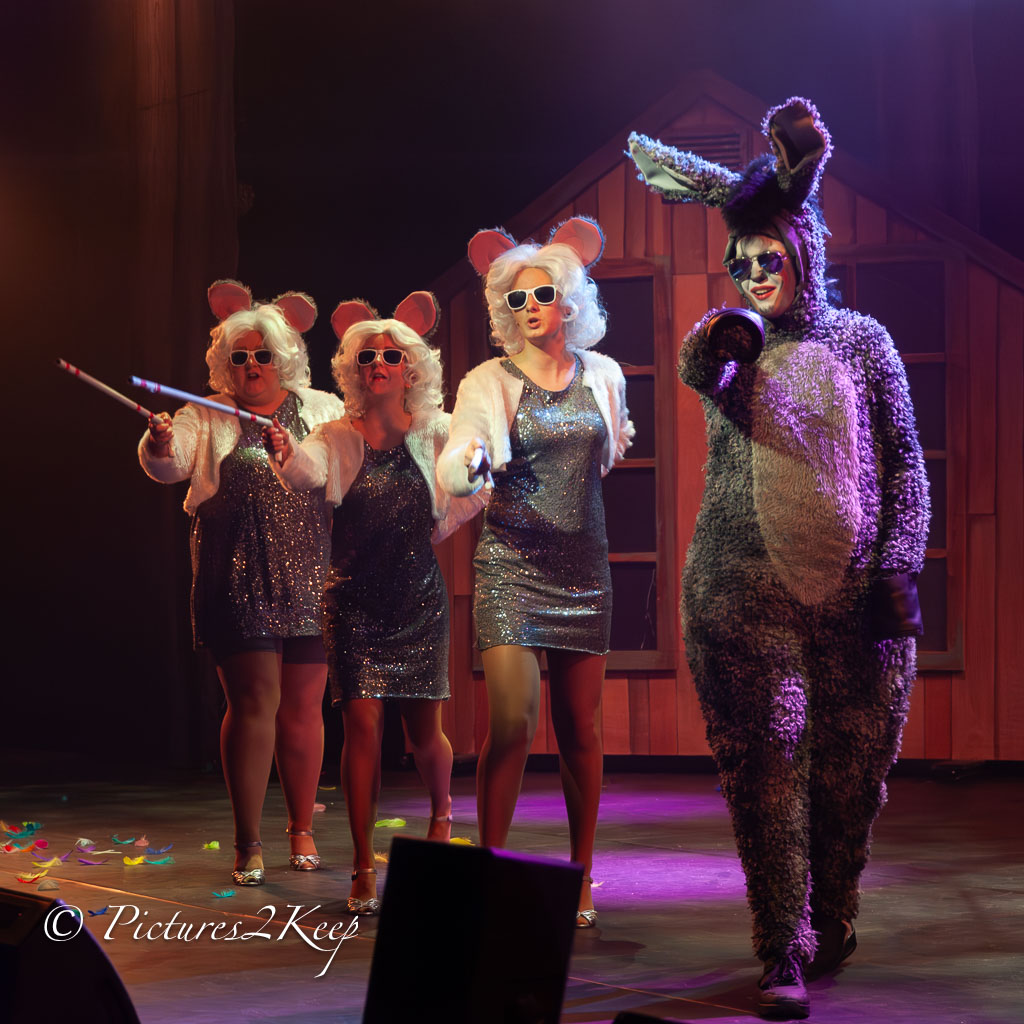 2410_ShrekDonderdag_475-Verbeterd-NR.jpg
