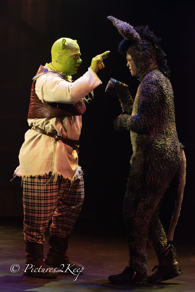 2410_ShrekDonderdag_539-Verbeterd-NR.jpg