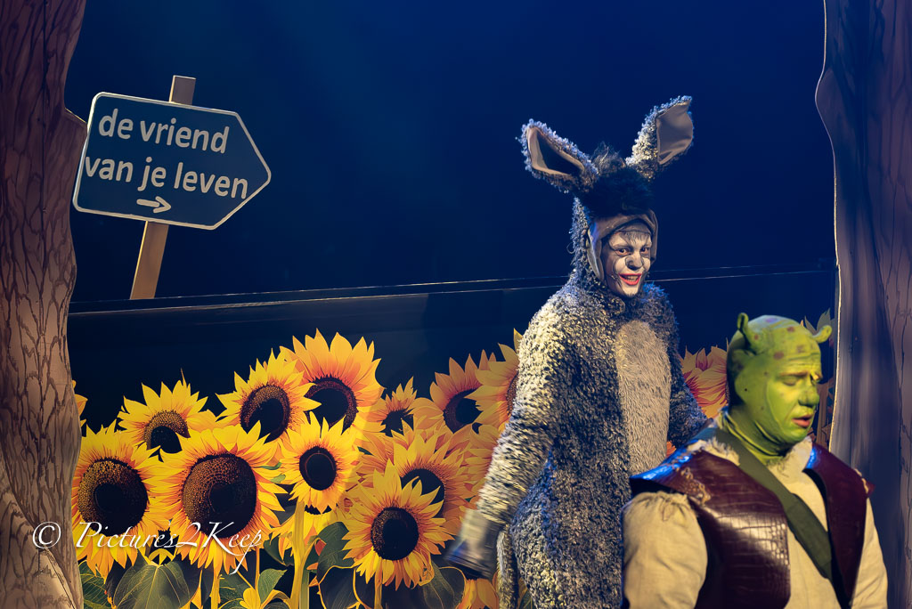 2410_ShrekZaterdag_133-Verbeterd-NR.jpg
