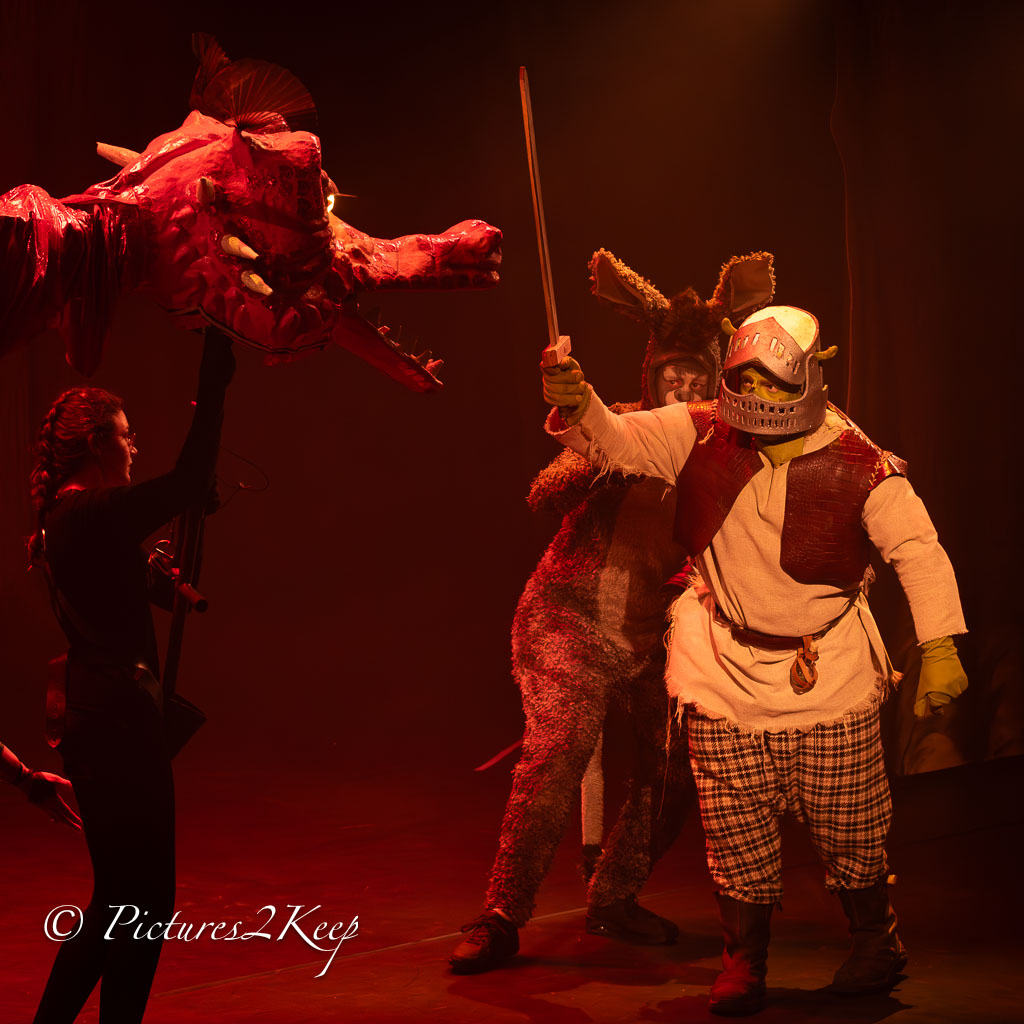 2410_ShrekZaterdag_177-Verbeterd-NR.jpg