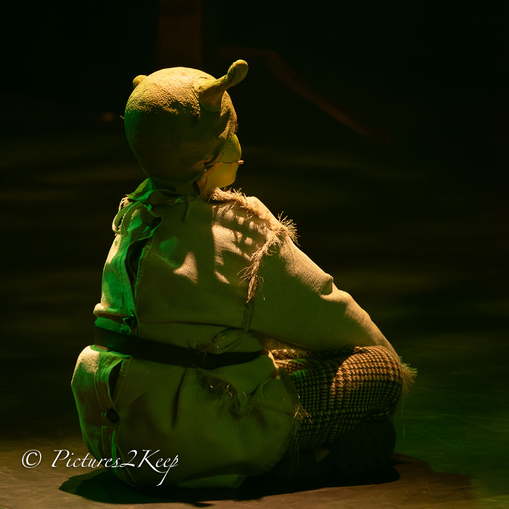 2410_ShrekZondag_010-Verbeterd-NR.jpg