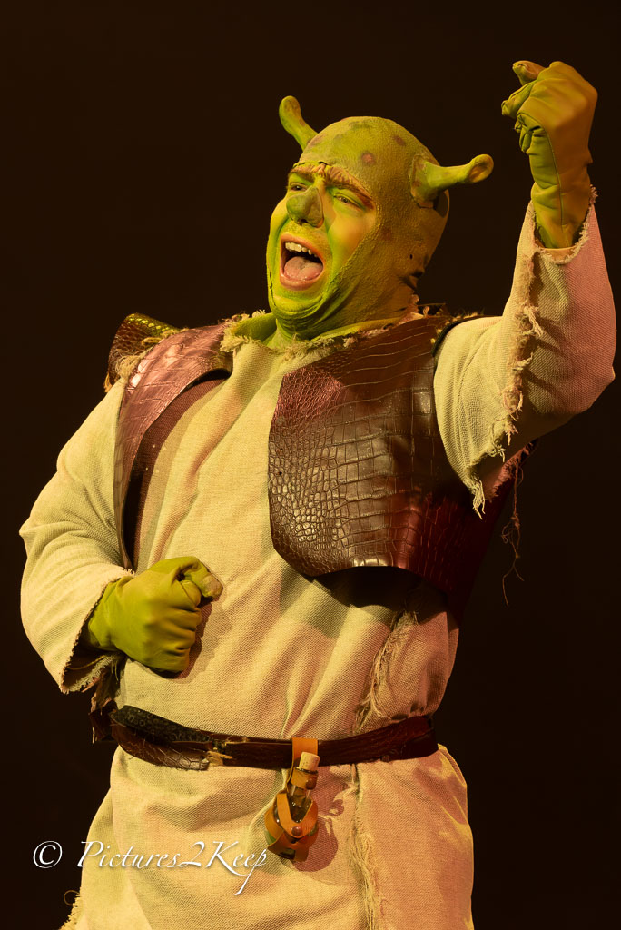 2410_ShrekZondag_028-Verbeterd-NR.jpg