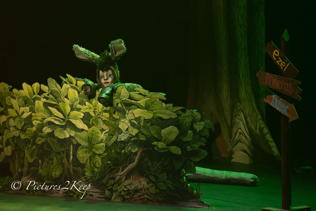 2410_ShrekZondag_049-Verbeterd-NR.jpg