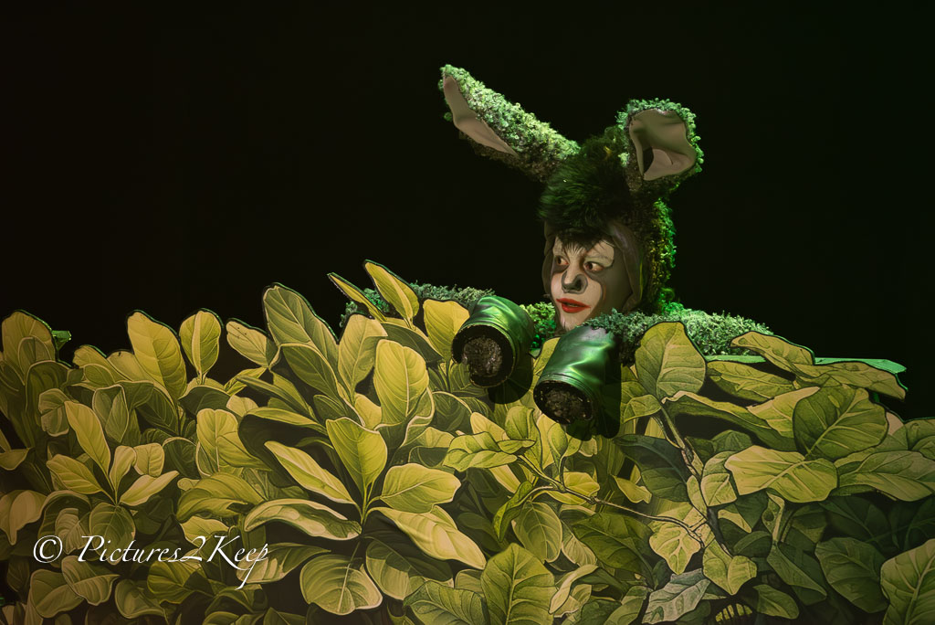 2410_ShrekZondag_050-Verbeterd-NR.jpg