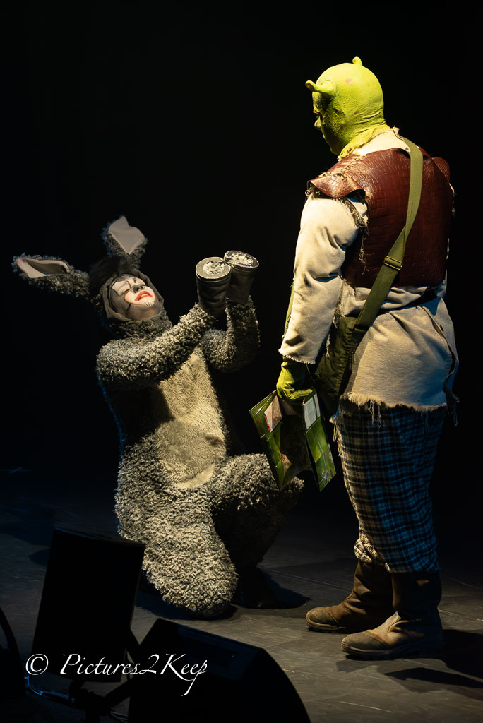 2410_ShrekZondag_065-Verbeterd-NR.jpg
