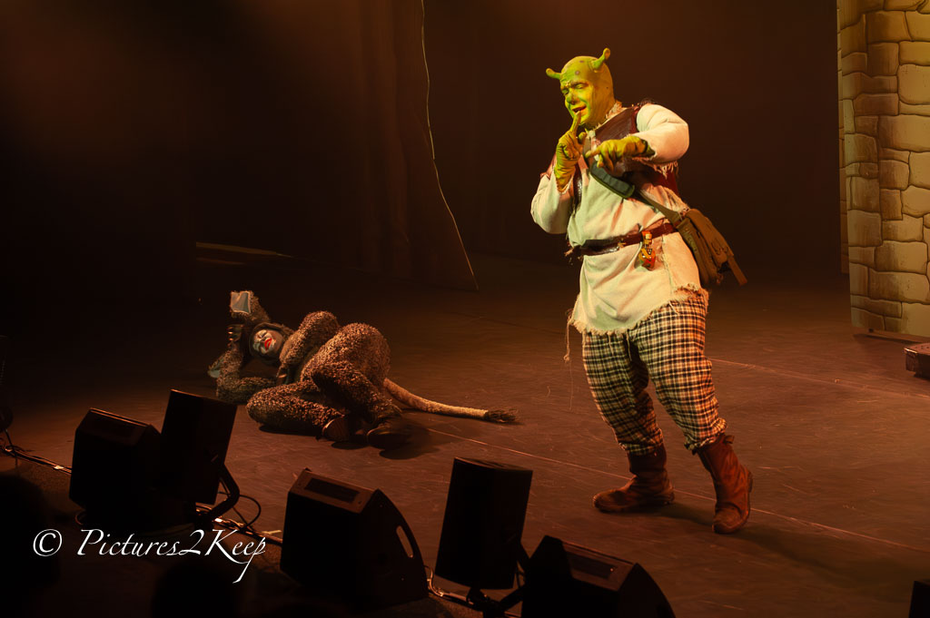 2410_ShrekZondag_081-Verbeterd-NR.jpg