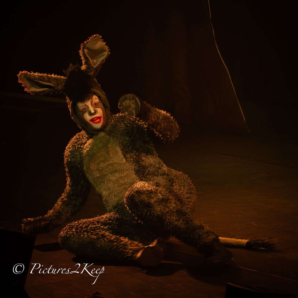 2410_ShrekZondag_083-Verbeterd-NR.jpg