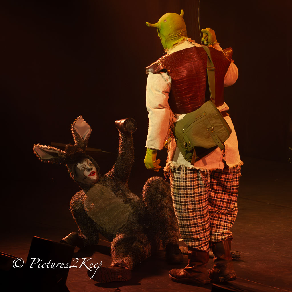 2410_ShrekZondag_085-Verbeterd-NR.jpg