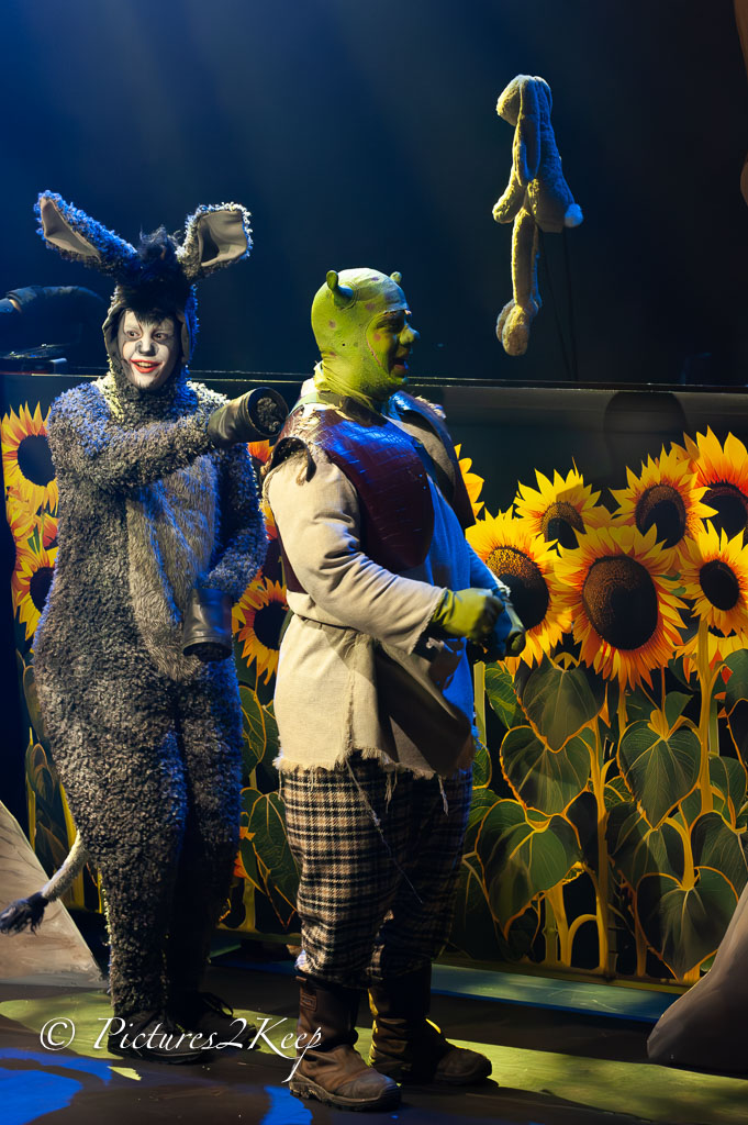 2410_ShrekZondag_135-Verbeterd-NR.jpg