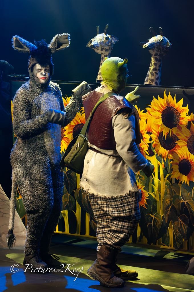 2410_ShrekZondag_144-Verbeterd-NR.jpg