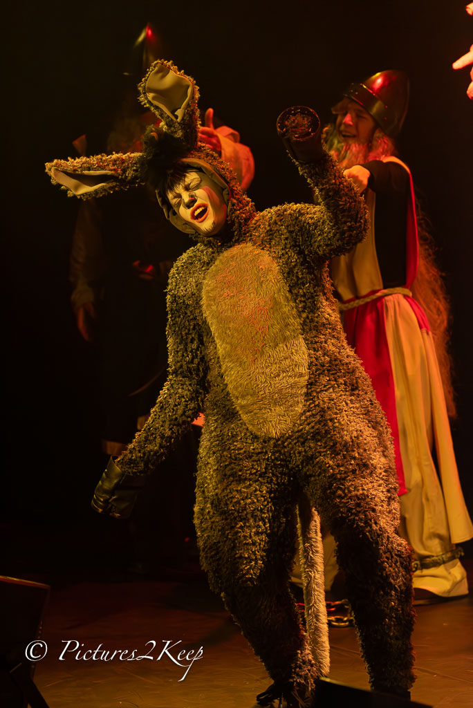 2410_ShrekZondag_166-Verbeterd-NR.jpg