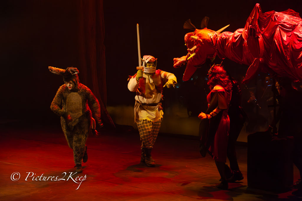 2410_ShrekZondag_186-Verbeterd-NR.jpg