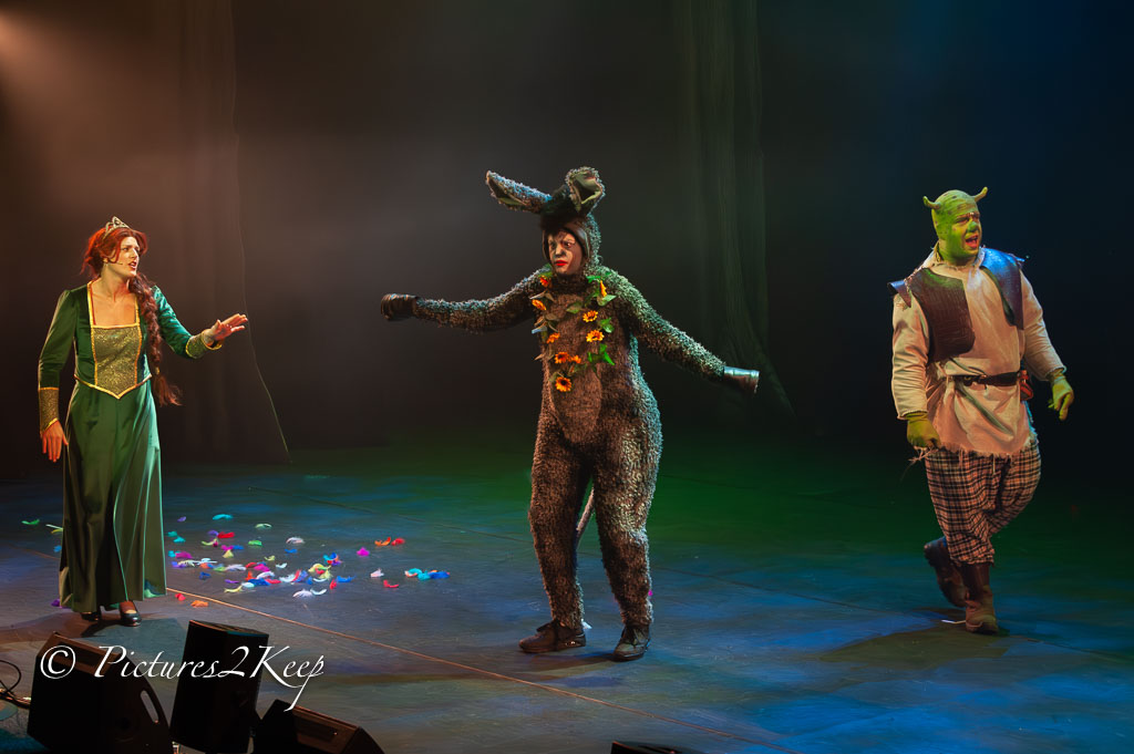 2410_ShrekZondag_241-Verbeterd-NR.jpg