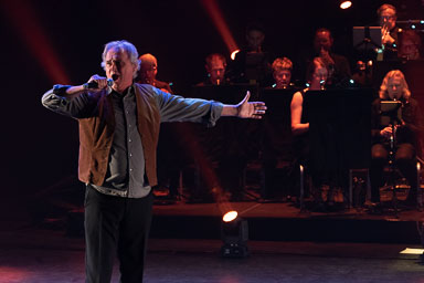 Best of Musicals Fijnaart